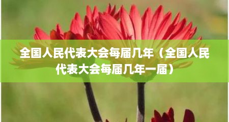 全国人民代表大会每届几年（全国人民代表大会每届几年一届）
