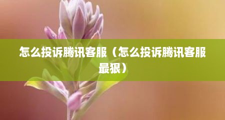 怎么投诉腾讯客服（怎么投诉腾讯客服最狠）
