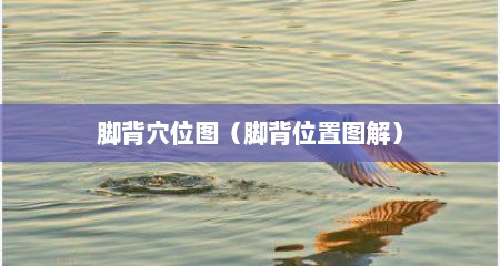 脚背穴位图（脚背位置图解）
