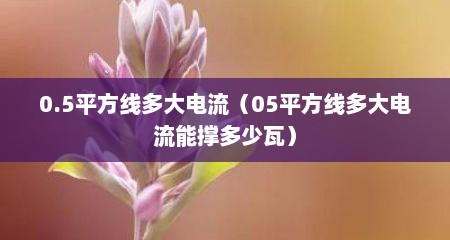 0.5平方线多大电流（05平方线多大电流能撑多少瓦）