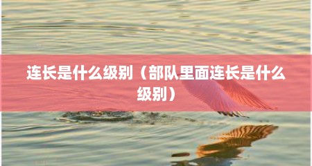 连长是什么级别（部队里面连长是什么级别）