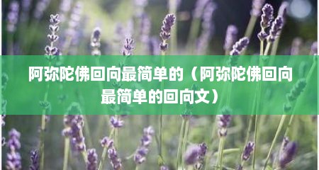 阿弥陀佛回向最简单的（阿弥陀佛回向最简单的回向文）