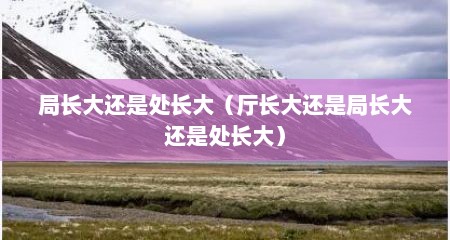 局长大还是处长大（厅长大还是局长大还是处长大）