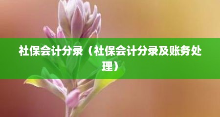 社保会计分录（社保会计分录及账务处理）