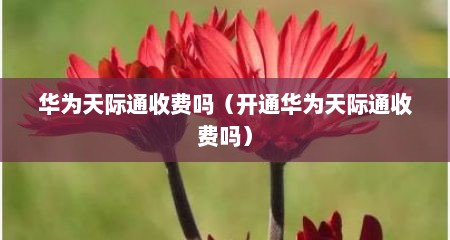 华为天际通收费吗（开通华为天际通收费吗）