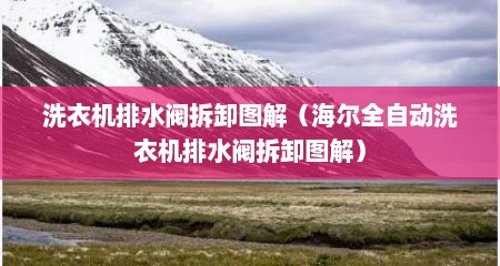 洗衣机排水阀拆卸图解（海尔全自动洗衣机排水阀拆卸图解）