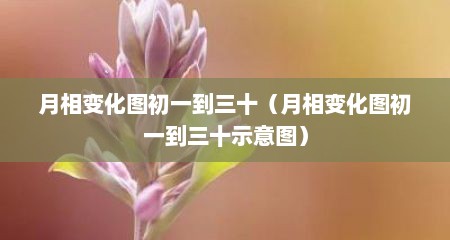 月相变化图初一到三十（月相变化图初一到三十示意图）