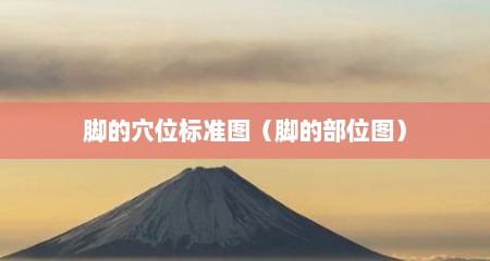 脚的穴位标准图（脚的部位图）