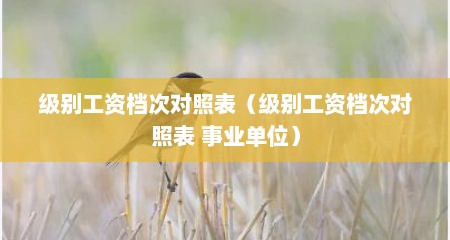 级别工资档次对照表（级别工资档次对照表 事业单位）