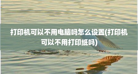 打印机可以不用电脑吗怎么设置(打印机可以不用打印纸吗)