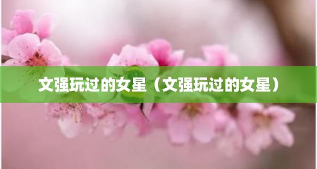 文强玩过的女星（文强玩过的女星）