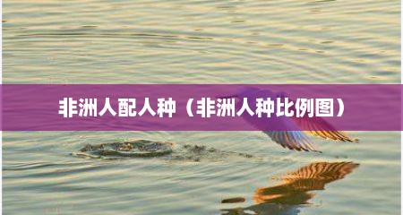 非洲人配人种（非洲人种比例图）