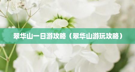 翠华山一日游攻略（翠华山游玩攻略）
