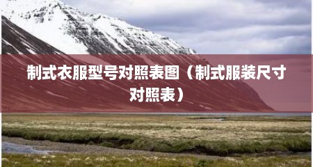 制式衣服型号对照表图（制式服装尺寸对照表）