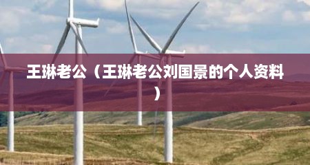 王琳老公（王琳老公刘国景的个人资料）