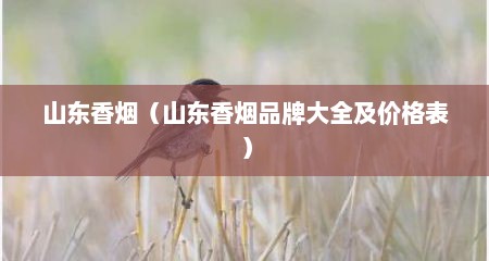 山东香烟（山东香烟品牌大全及价格表）