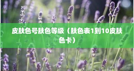 皮肤色号肤色等级（肤色表1到10皮肤色卡）