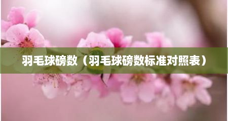 羽毛球磅数（羽毛球磅数标准对照表）