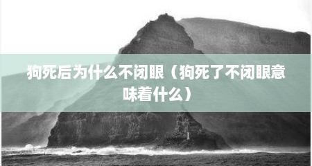 狗死后为什么不闭眼（狗死了不闭眼意味着什么）