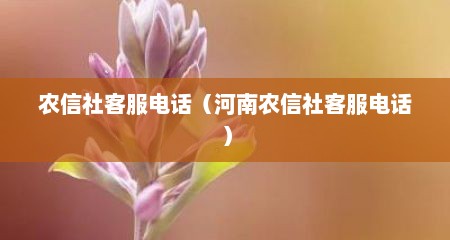 农信社客服电话（河南农信社客服电话）