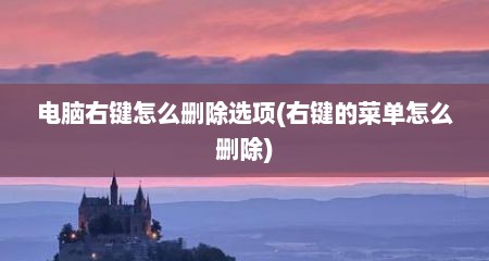 电脑右键怎么删除选项(右键的菜单怎么删除)