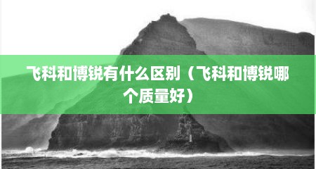 飞科和博锐有什么区别（飞科和博锐哪个质量好）