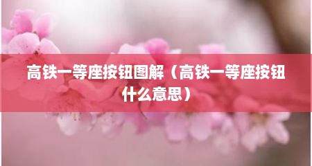 高铁一等座按钮图解（高铁一等座按钮什么意思）
