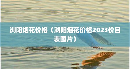 浏阳烟花价格（浏阳烟花价格2023价目表图片）