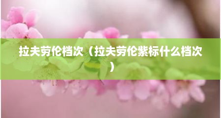 拉夫劳伦档次（拉夫劳伦紫标什么档次）
