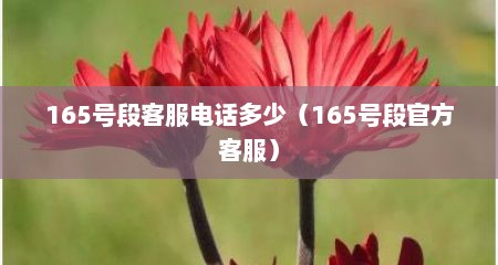 165号段客服电话多少（165号段官方客服）