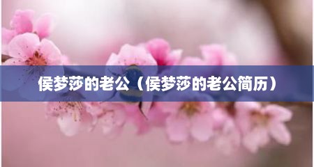 侯梦莎的老公（侯梦莎的老公简历）