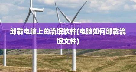 卸载电脑上的流氓软件(电脑如何卸载流氓文件)