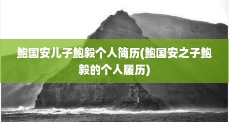 鲍国安儿子鲍毅个人简历(鲍国安之子鲍毅的个人履历)