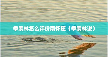 季羡林怎么评价南怀瑾（季羡林说）