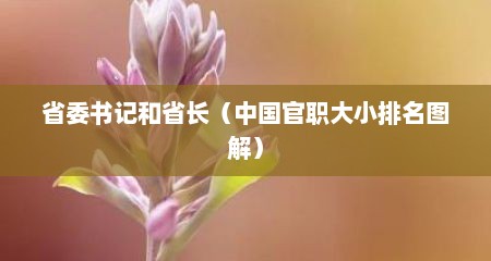 省委书记和省长（中国官职大小排名图解）
