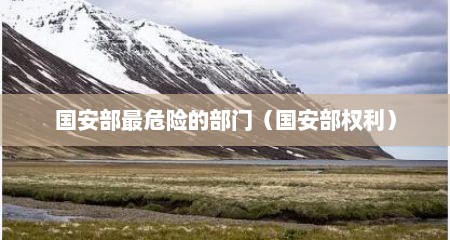 国安部最危险的部门（国安部权利）