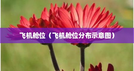 飞机舱位（飞机舱位分布示意图）