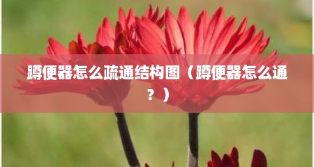 蹲便器怎么疏通结构图（蹲便器怎么通？）