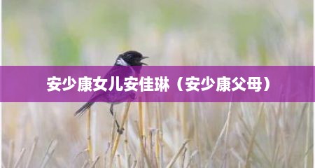 安少康女儿安佳琳（安少康父母）