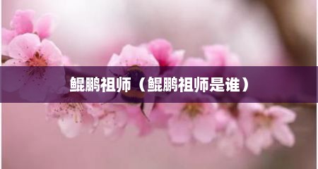 鲲鹏祖师（鲲鹏祖师是谁）