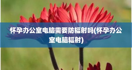 怀孕办公室电脑需要防辐射吗(怀孕办公室电脑辐射)