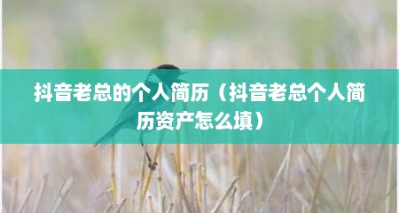 抖音老总的个人简历（抖音老总个人简历资产怎么填）