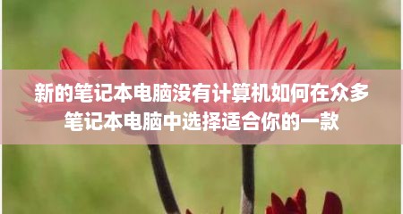 新的笔记本电脑没有计算机如何在众多笔记本电脑中选择适合你的一款