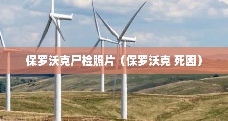 保罗沃克尸检照片（保罗沃克 死因）