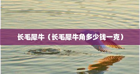 长毛犀牛（长毛犀牛角多少钱一克）