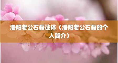 潘阳老公石磊遗体（潘阳老公石磊的个人简介）
