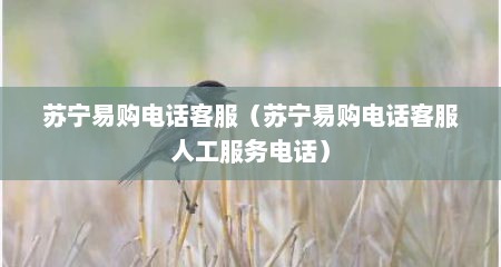苏宁易购电话客服（苏宁易购电话客服人工服务电话）