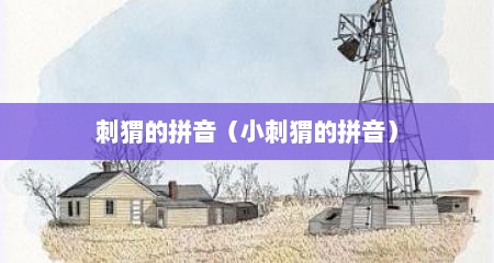 刺猬的拼音（小刺猬的拼音）