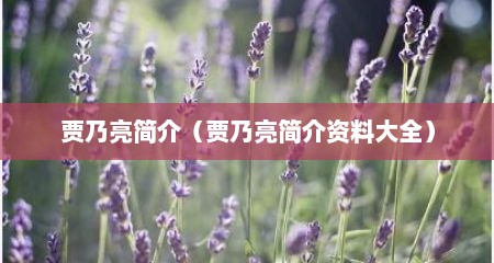 贾乃亮简介（贾乃亮简介资料大全）