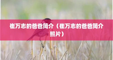 崔万志的爸爸简介（崔万志的爸爸简介照片）